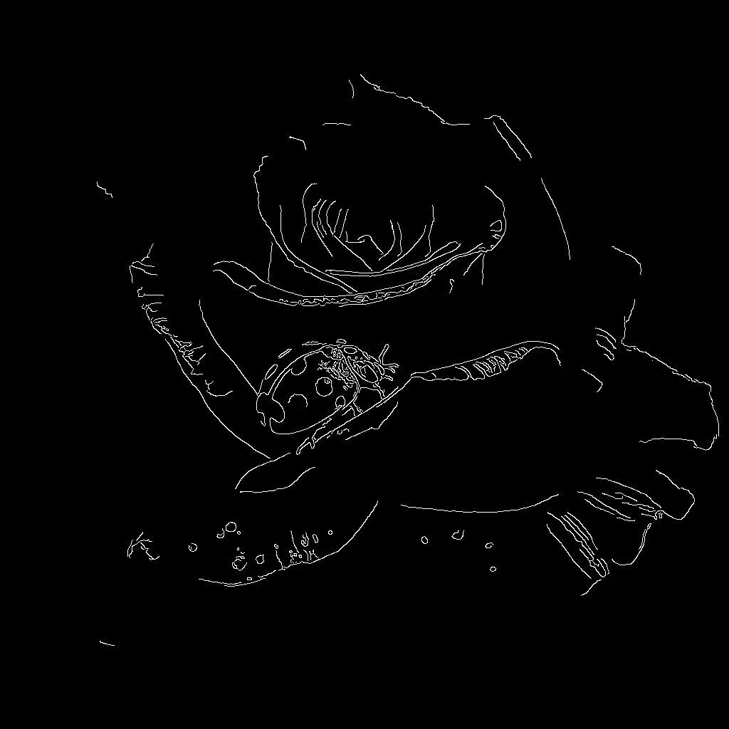 ComfyUI workflow: Flux.1 Canny Model - Preview 2