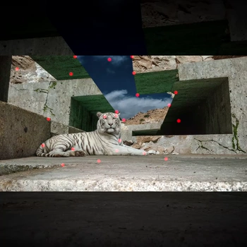 ComfyUI workflow template: Wan ATI Motion Control