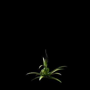 ComfyUI workflow preview: Video Restyle - Before