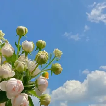 ComfyUI workflow template: Wan 2.2 5B Fun Inpaint